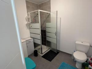a bathroom with a shower and a toilet at Appartement Perpignan in Perpignan