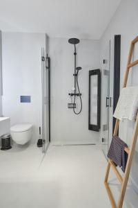 un baño con ducha y WC en Idyllic Vineyard Retreat Near Klingenmünster, en Klingenmünster 14 fotos más