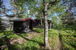a small cabin in the woods with a tree at Cozy Private Holiday Home On Lifjell in Bø