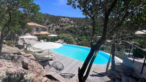 Πισίνα στο ή κοντά στο Secluded Villa With Sea View In Palombaggia