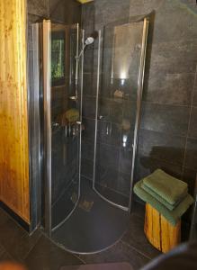 una ducha con puerta de cristal en un baño en Treetop House Near Mount Brocken, en Ilsenburg 21 fotos más