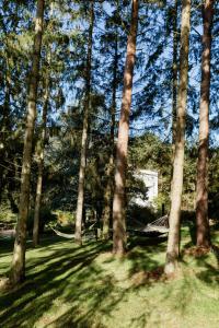 Galeri foto Retro House With Large Plot On South Funen di Åbyskov