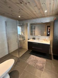 ein Badezimmer mit Dusche, Waschbecken und Toilette in der Unterkunft Modern Family Cabin By Gautefall Ski Trails in Gautefall