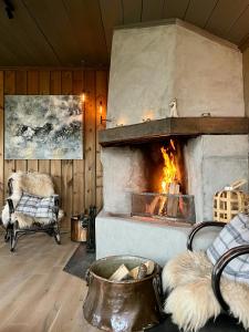 Zona de estar de Secluded Mountain Cabin In Rauland With View