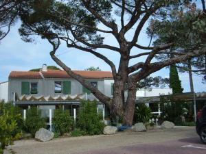 a house with a tree in front of it at Le Parasol in Ars-en-Ré