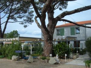 a tree in front of a building at Le Parasol in Ars-en-Ré