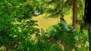 Κήπος έξω από το Colour Joy In Thatched House Of The North Coast
