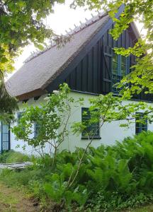 a white house with black windows and plants at Colour Joy In Thatched House Of The North Coast in Hundested
