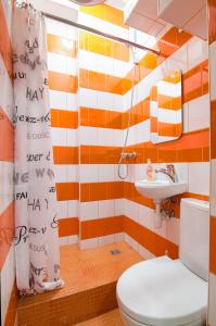リヴィウにあるMini Apartments on Roppoporta 7a-2のバスルーム(トイレ、洗面台付)