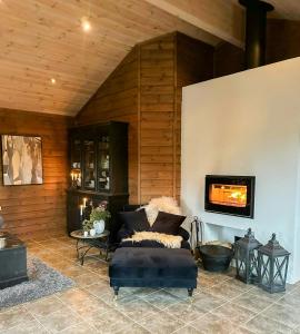Una sala de estar con un sofá y una chimenea. en Sunny Cabin Near Gautefall, en Treungen