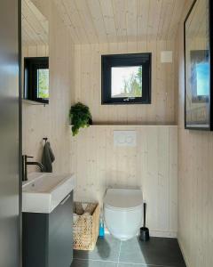 a bathroom with a toilet and a sink at Stylish Mountain Cabin In Hallingdalen in Flå
