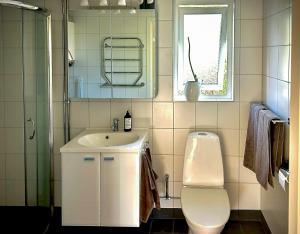 a bathroom with a sink and a toilet and a window at Cottage With Glass Porch By Apelviken Beach in Varberg