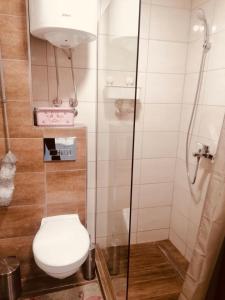 a bathroom with a toilet and a shower at Neo3 in Veliko Gradište