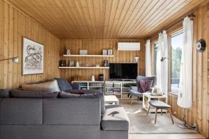 un salon avec un canapé et une télévision dans l'établissement Enjoy Outdoor Life With Orangery And Kitchen, à Græsted