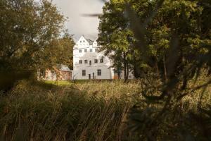an old white house in a field of tall grass at Spacious Holiday Apartment On Rügen in Poseritz +5 photos
