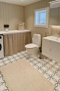 ein Badezimmer mit Toilette und Waschbecken in der Unterkunft Historic Cottage Near Wiredaholm in Aneby