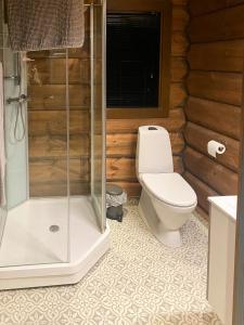 a bathroom with a toilet and a shower at Timber Cabin With Fantastic View In Oppdal in Oppdal +30 photos