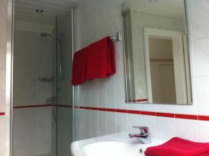y baño con lavabo, ducha y espejo. en Appartement Kirchenblick en Bad Birnbach