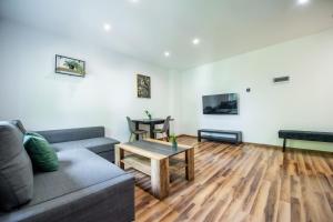 a living room with a couch and a table at Apartament Lipowa 26 in Gliwice