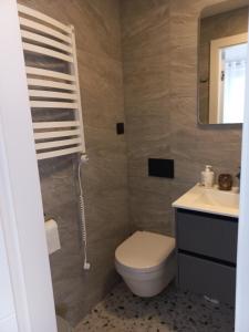 a bathroom with a toilet and a sink at Ramus poilsis in Nida