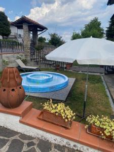 Una sombrilla y algunas plantas y una piscina. en Residenza Martinelli, en Pistoia