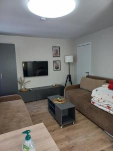 a living room with a couch and a tv at Ramus poilsis in Nida