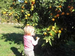 サリ・ソランザラにあるMaison En Pierre Corse Vue Merのオレンジの木前に立つ少女