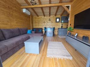 TV a/nebo společenská místnost v ubytování Villas Mlecika and Zvoncic- Jezero Lake Perucac