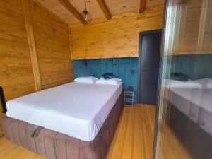 Postel nebo postele na pokoji v ubytování Villas Mlecika and Zvoncic- Jezero Lake Perucac