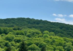 صورة لـ Riverside apartment في ديليجان