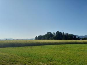 Paesaggio naturale nelle vicinanze dello chalet