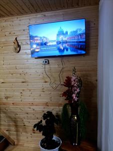 a flat screen tv hanging on a wooden wall at Cottage Diamond in Dolinka +10 photos