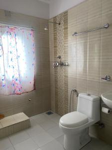 un bagno con wc, doccia e lavandino di Bag Packer's Lodge a Kathmandu