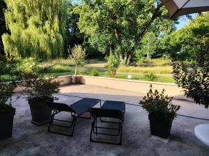 a table and chairs in a courtyard with trees at Appartement dans la campagne bourbonnaise in Pouzy-Mésangy