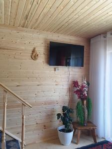 a room with a wall with a television and a plant at Cottage Diamond in Dolinka