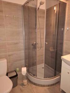 Et badeværelse på Gwiazda nad Horyzont + 18 billeder