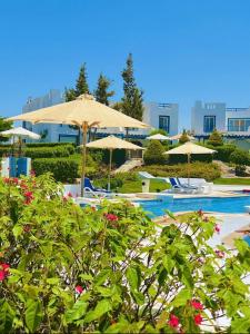a swimming pool with umbrellas and chairs at Mountain view North Coast Ras elhekma, Tart's Home, Families only in Ras Elhekma