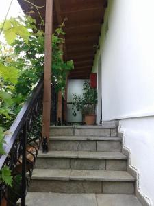 Fotografie z fotogalerie ubytování Akamatis Giorgos v destinaci Therma