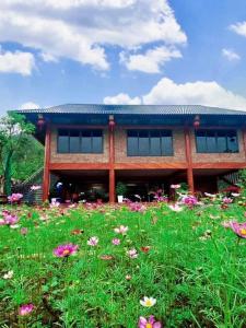 a building with a field of flowers in front of it at Thung Din Homestay in Phủ Nho Quan
