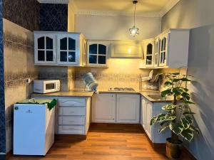 a kitchen with white cabinets and a plant in it at LUXURY family cottage in Islamabad
