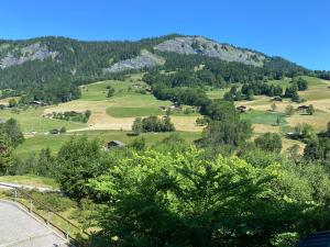 Elle offre une vue sur une montagne agrémentée de champs et d'arbres verdoyants. dans l'établissement Chalets des Evettes- appartement vue montagne, à Flumet