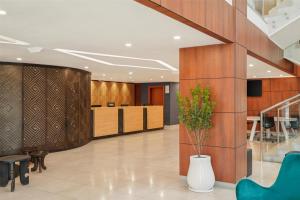Doubletree By Hilton Addis Ababa Airport的电视和/或娱乐中心