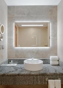 亚的斯亚贝巴Doubletree By Hilton Addis Ababa Airport的带水槽和大镜子的浴室