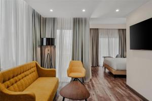 Doubletree By Hilton Addis Ababa Airport的电视和/或娱乐中心