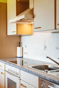 Kuchyň nebo kuchyňský kout v ubytování Pension Schlossberg + 37 fotografií