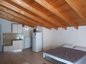 Kuchyň nebo kuchyňský kout v ubytování Hotel THERMOPULES