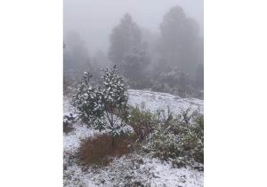 Himvadi Resorts Kausani v zimě