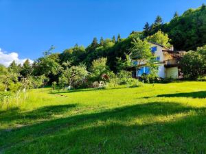 a house in the middle of a green field at Casa De Sub Padure in Bran