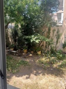 En have udenfor Petit nid douillet centre-ville