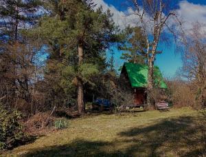a house with a green roof in the woods at Cabin berg in Semily